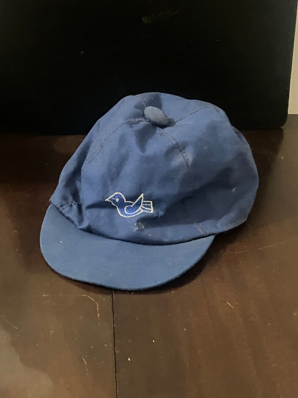 Flawed! Vintage Kids Camp Fire Girls / Blue Birds Ball Cap Hat 1960s